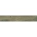 Гранитогрес Northwood Elm 20/120см.